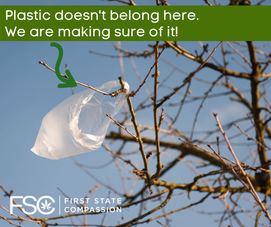 Let’s Wrap it up: Out with Plastic, in with Recyclable!