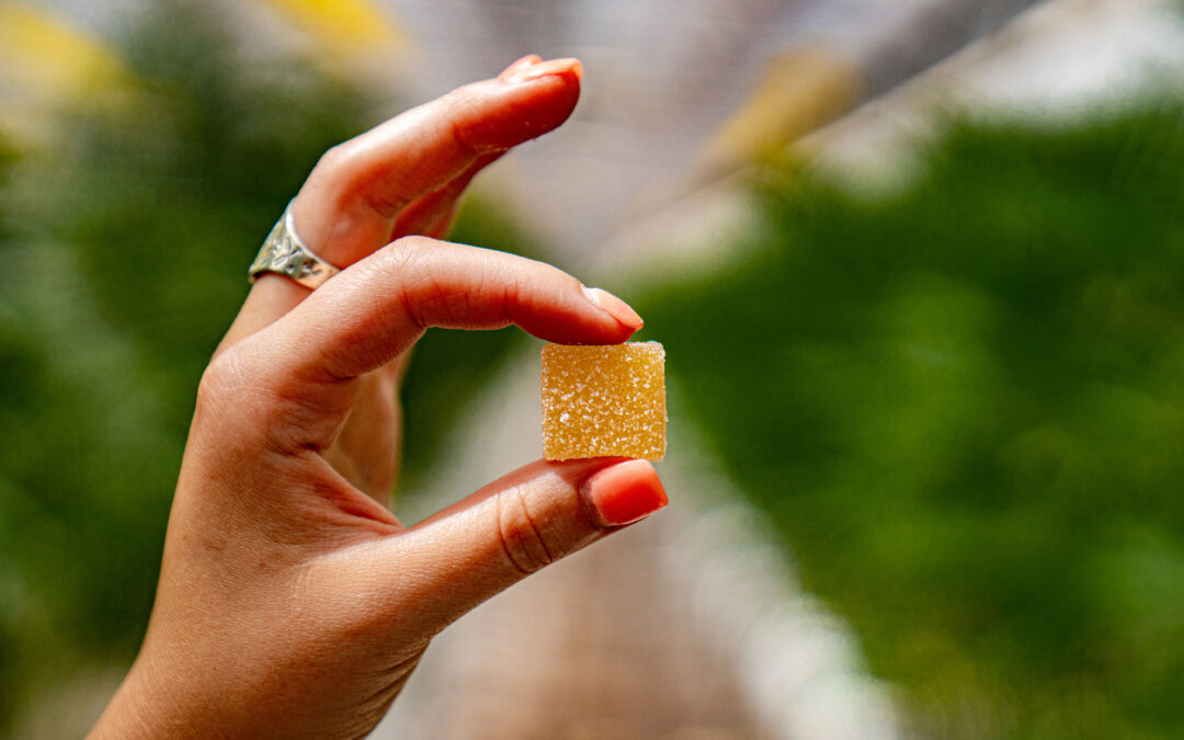 Here’s Something to Chew On – We have Edibles!