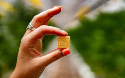 Here’s Something to Chew On – We have Edibles!